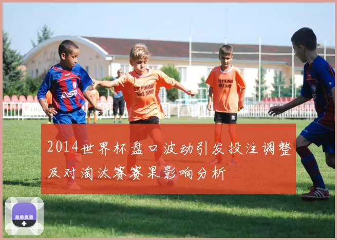 2014世界杯盘口波动引发投注调整及对淘汰赛赛果影响分析