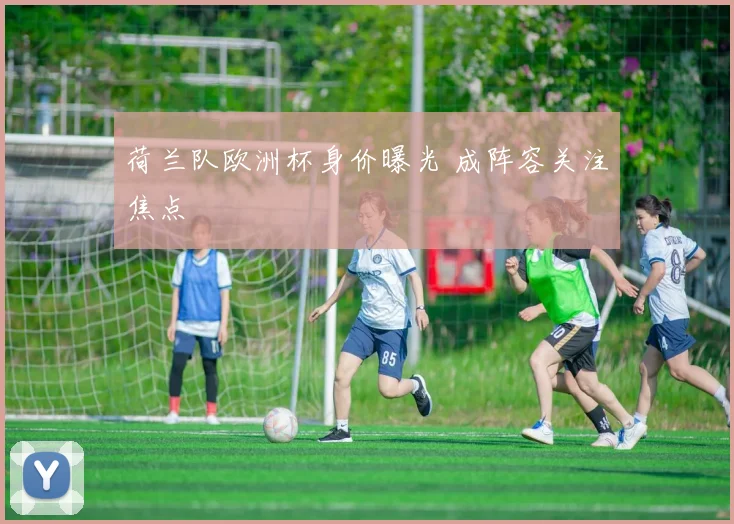 荷兰队欧洲杯身价曝光 成阵容关注焦点