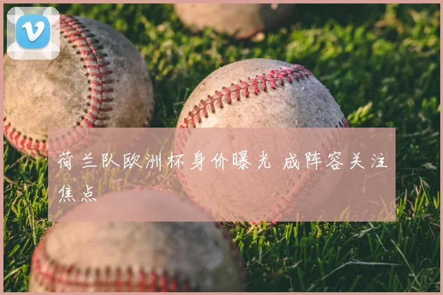 荷兰队欧洲杯身价曝光 成阵容关注焦点